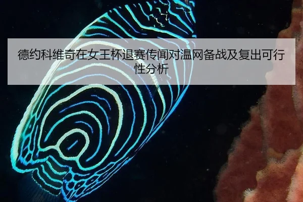 de-yue-ke-wei-qi-zai-nv-wang-bei-tui-sai-chuan-wen-dui-wen-wang-bei-zhan-ji-fu-chu-ke-xing-xing-fen-xi-2-547.jpg